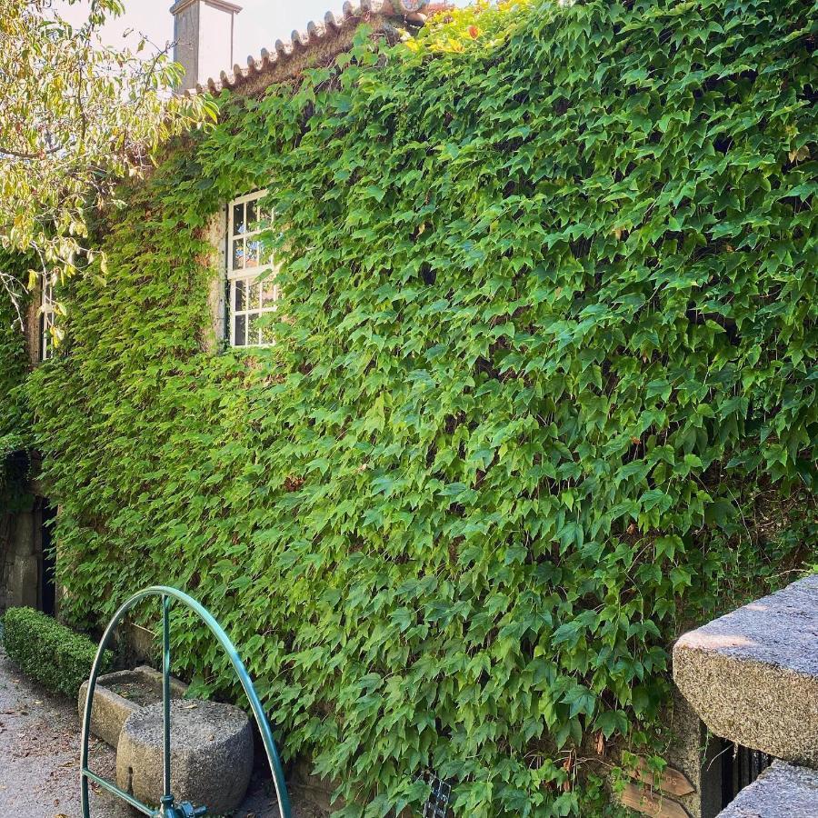 Casa dos Barros Winery Lodge by Vintage Theory Sabrosa Exterior foto