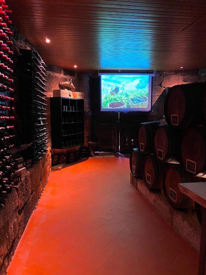 Casa dos Barros Winery Lodge by Vintage Theory Sabrosa Exterior foto