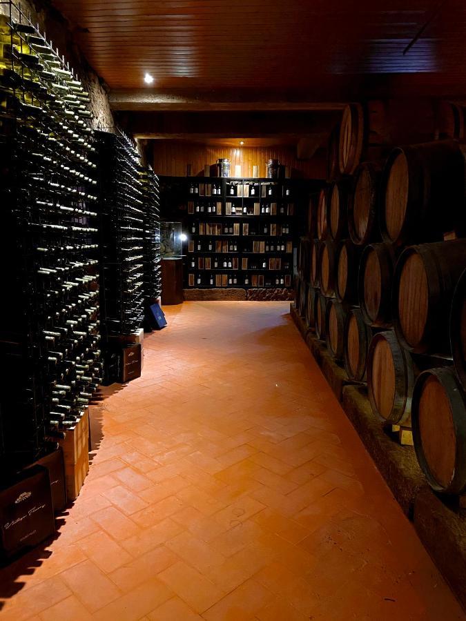 Casa dos Barros Winery Lodge by Vintage Theory Sabrosa Exterior foto