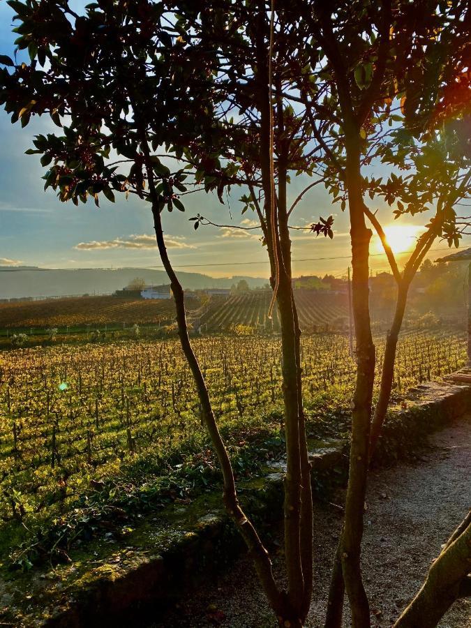 Casa dos Barros Winery Lodge by Vintage Theory Sabrosa Exterior foto