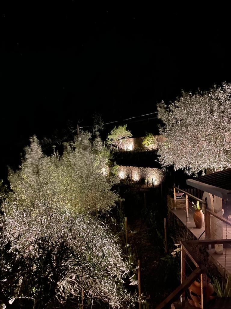 Casa dos Barros Winery Lodge by Vintage Theory Sabrosa Quarto foto