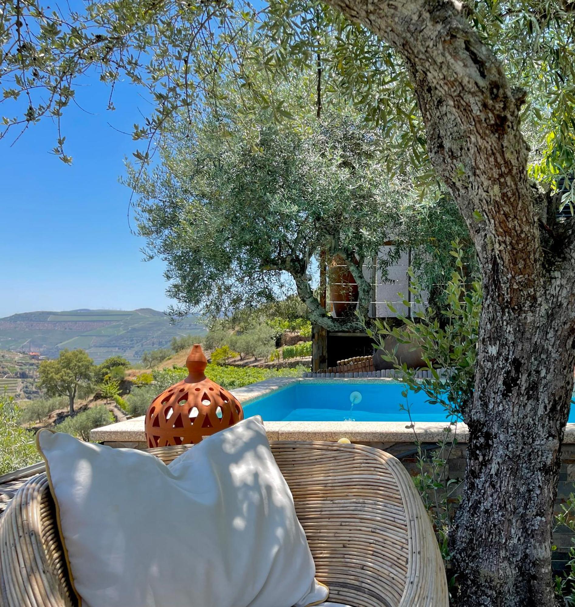 Casa dos Barros Winery Lodge by Vintage Theory Sabrosa Quarto foto